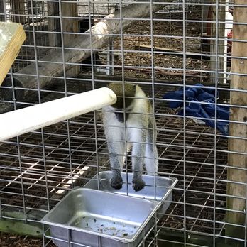 Bee City Zoo - Petting Zoos Near Me - Cottageville, South Carolina
