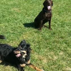 No one here mud day!  Can throw the ball around with the dogs!