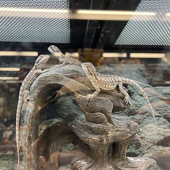 Petco - Pet Stores Near Me - Brooklyn, New York Petco - Pet Stores Near Me - Brooklyn, New York