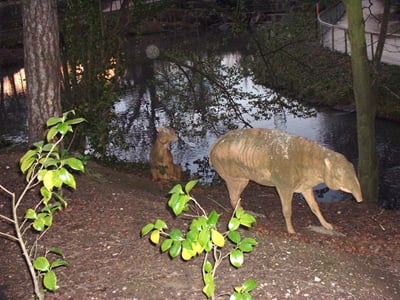 Crystal Palace Dinosaurs by null