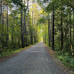 Wells Mills County Park