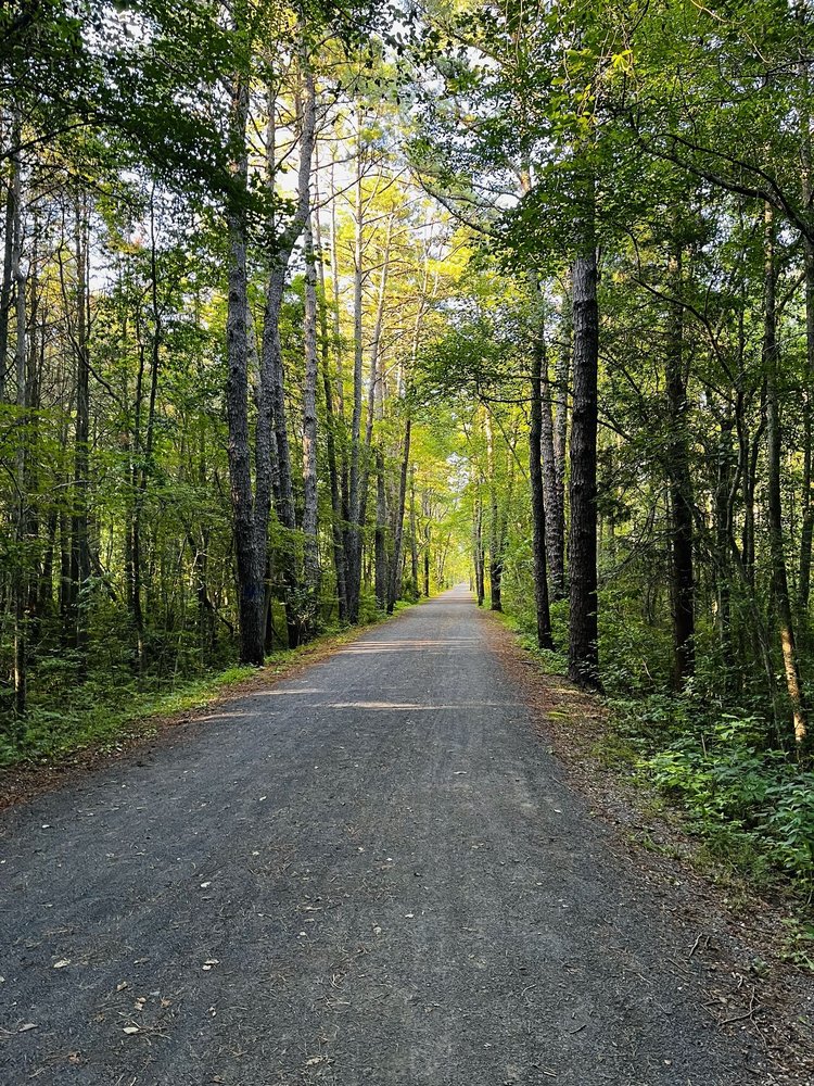 Wells Mills County Park Image