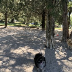 William A. Pitts Park - Dog Park William Pitts.