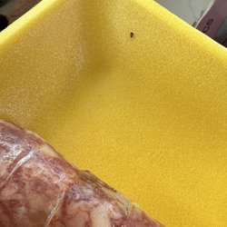 Paris Sandwich Cafe - Roach next to spring roll