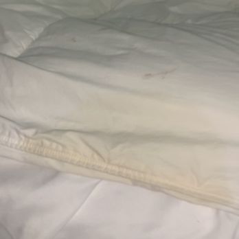 Comfort Suites - Second blanket received - Hotels Near Me - Richmond, Kentucky Comfort Suites - Second blanket received - Hotels Near Me - Richmond, Kentucky