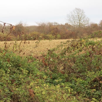 Albro Woods - Lots of farms in the area - Hiking Near Me - Middletown, Rhode Island
