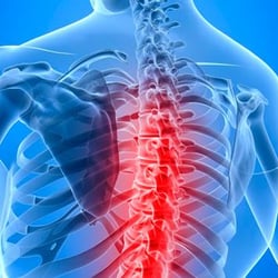 Bateman Gatrost Chiropractic