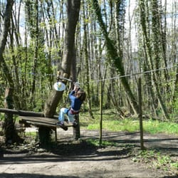 Forest Land