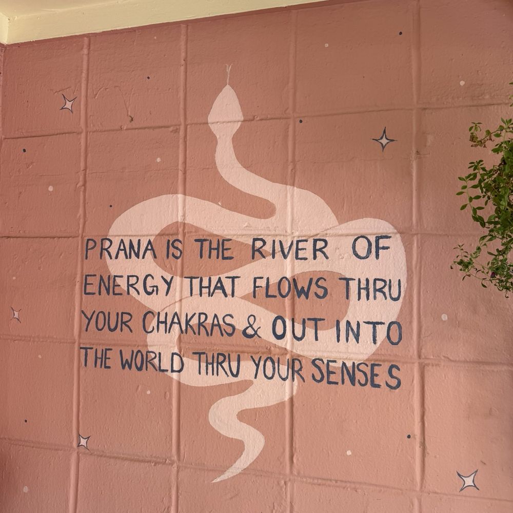Prana Cafe - Cafes Near Me - Austin, Texas Prana Cafe - Cafes Near Me - Austin, Texas
