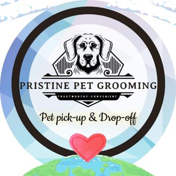 A Purrfect Dog Grooming & Daycare: Ultimate Care for Your Pet