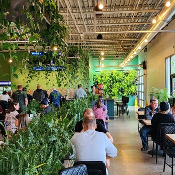 Wandering Leaf Brewing - people sitting at tables in a restaurant - Breweries Near Me - Saint Paul, Minnesota