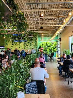 Wandering Leaf Brewing Company by null