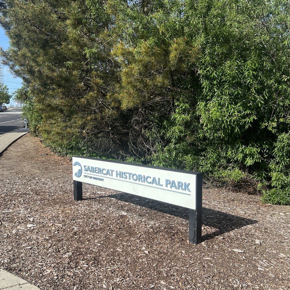 Sabercat Creek Trail - Parks Near Me - Fremont, California Sabercat Creek Trail - Parks Near Me - Fremont, California