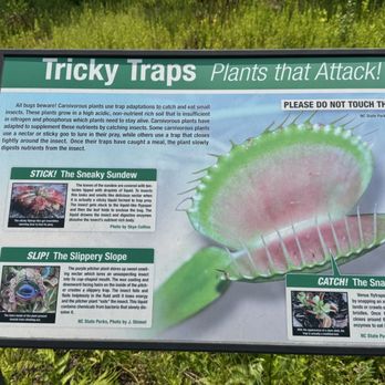 Piney Ridge Nature Preserve - Parks Near Me - Wilmington, North Carolina