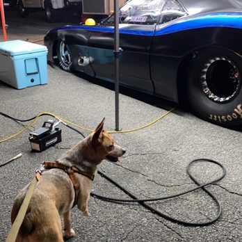 Alabama International Dragway - Race Tracks Near Me - Steele, Alabama