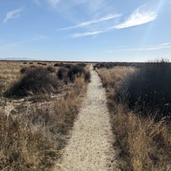 Wairau Lagoons Walkway