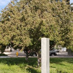 Bataan Memorial Park
