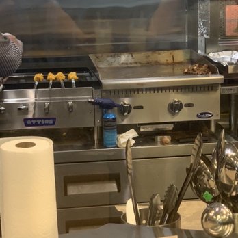 Rumi's Oasis - Their grill - Bakeries Near Me - Elk Grove, California