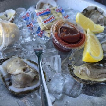 Hollywood Beach - Oysters! - Beaches Near Me - Hollywood, Florida Hollywood Beach - Oysters! - Beaches Near Me - Hollywood, Florida