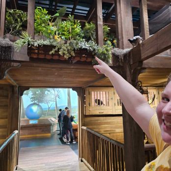 ICR Discovery Center - Noah's Ark room - Museums Near Me - Dallas, Texas ICR Discovery Center - Noah's Ark room - Museums Near Me - Dallas, Texas