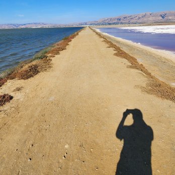 Alviso Marina County Park - Parks Near Me - Alviso, California