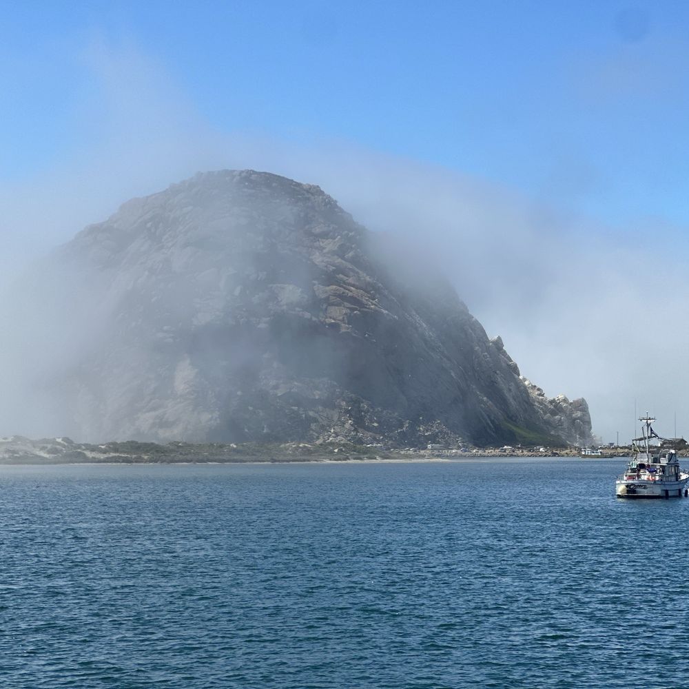 Morro Grill - Lunch on the patio. Gorgeous view!! - American Near Me - Morro Bay, California Morro Grill - Lunch on the patio. Gorgeous view!! - American Near Me - Morro Bay, California