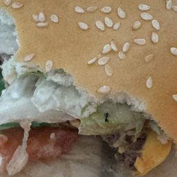 Whopper junior with a touch of ant Whopper junior with a touch of ant