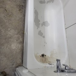 Bath Tub Boys