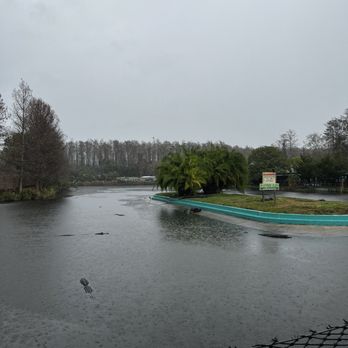 Gatorland - Zoos Near Me - Orlando, Florida