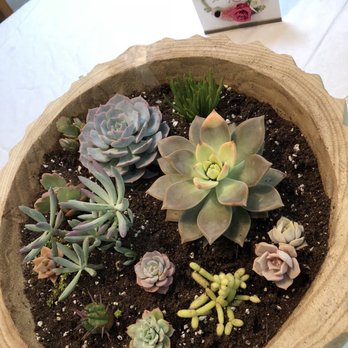 Isaac Farms - This cost me about $25, $1.50 for the small ones and $3.50 or $3.75 for the large ones - Nurseries & Gardening Near Me - Miami, Florida Isaac Farms - This cost me about $25, $1.50 for the small ones and $3.50 or $3.75 for the large ones - Nurseries & Gardening Near Me - Miami, Florida