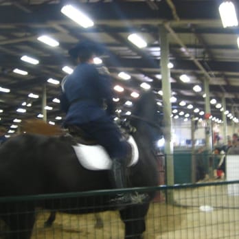 Exhibition Park - horse events at Maritime Fall Fair - Venues & Event Spaces Near Me - Halifax, Nova Scotia Exhibition Park - horse events at Maritime Fall Fair - Venues & Event Spaces Near Me - Halifax, Nova Scotia