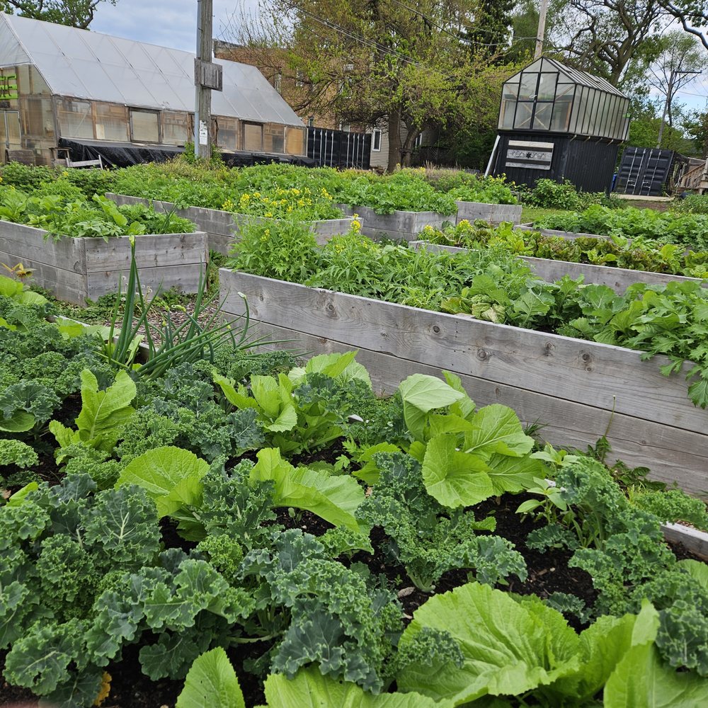 Sweetwater Foundation Farm - Farmers Market Near Me - Chicago, Illinois Sweetwater Foundation Farm - Farmers Market Near Me - Chicago, Illinois