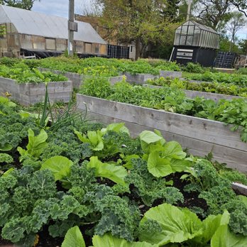 Sweetwater Foundation Farm - Farmers Market Near Me - Chicago, Illinois