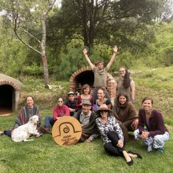 Dream Spanish - Immersion classes in town after passing your beginners level online.