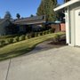 Photo of Konoha Landscaping