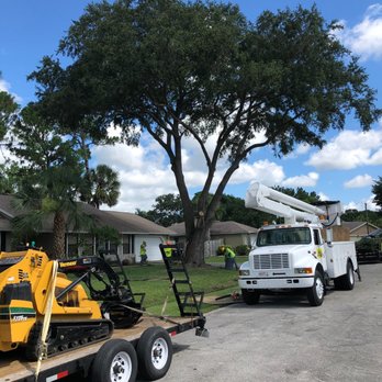 Jenkins Tree Service - Tree Services Near Me Jenkins Tree Service - Tree Services Near Me
