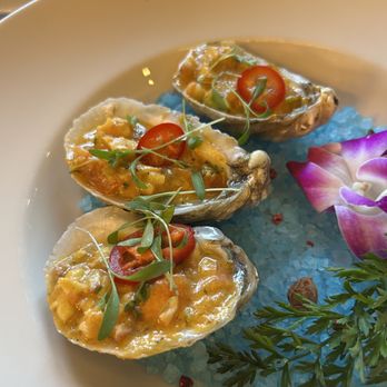 Maison Pucha Bistro - Oysters - French Near Me - Houston, Texas