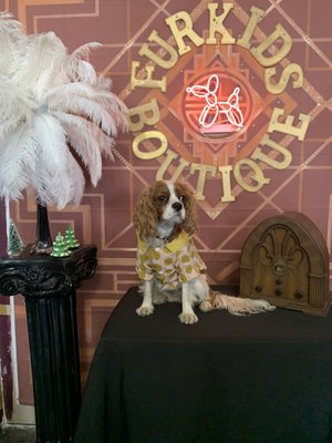 Fur-Kids Boutique by null