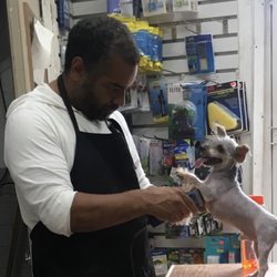 Purrfect Pets