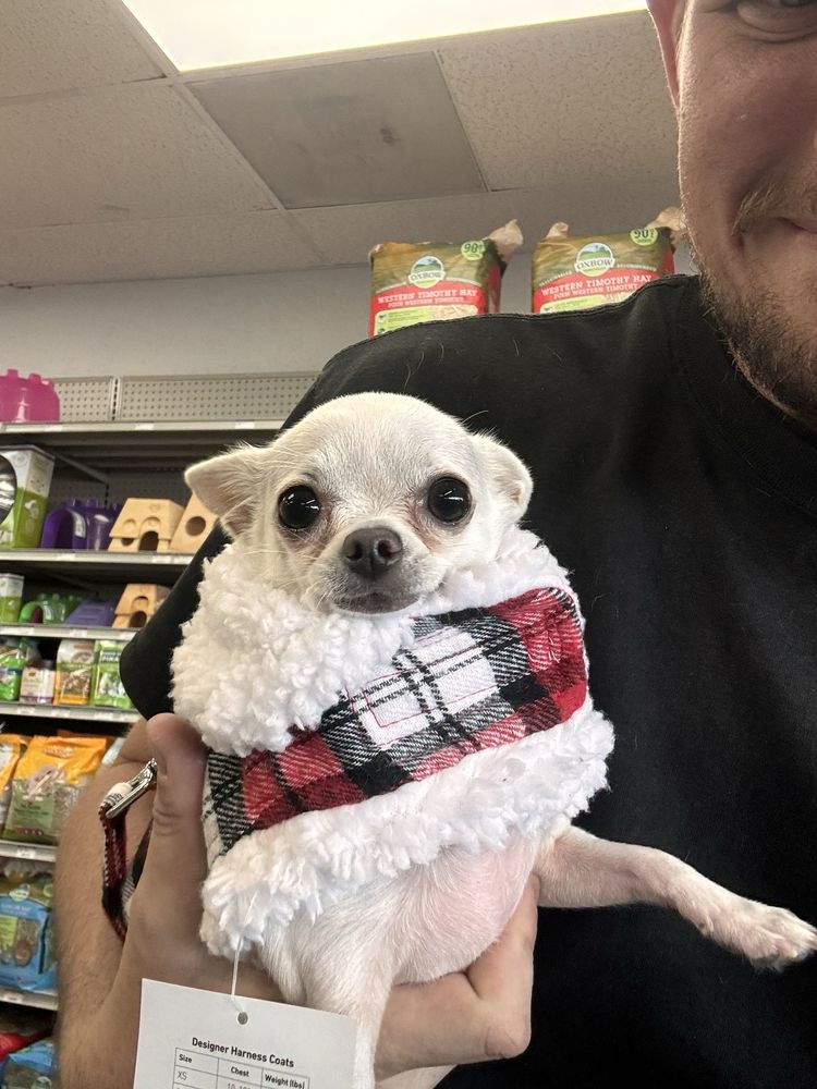 Dunedin Pet Supply  Image