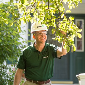 The Davey Tree Expert Company - Tree Services Near Me - Monroeville, Pennsylvania