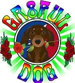 Gr8ful Dog Pet Care - pet boarding facility in Chicago, IL