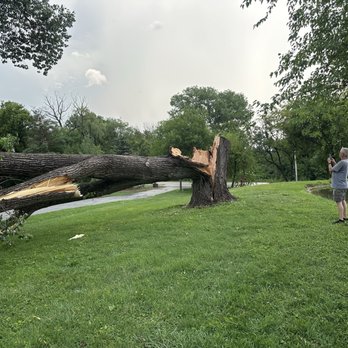 Sunset Tree Service - Tree Services Near Me - Crystal Lake, Illinois
