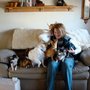 Photo of Wet Noses and Company