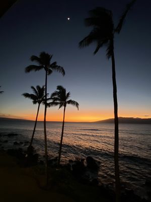 Noelani Condominium Rental Association by null