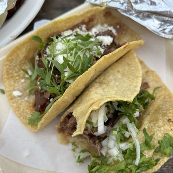 La Santa Barbacha - Benito and barbacoa sans bite - Mexican Near Me - Austin, Texas