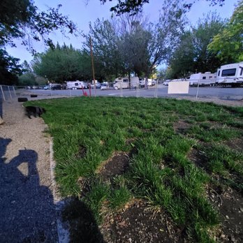 Waiiaka RV Park -Exit 773 - Tall grass, needs to be mowed. - RV Parks Near Me - Yreka, California Waiiaka RV Park -Exit 773 - Tall grass, needs to be mowed. - RV Parks Near Me - Yreka, California