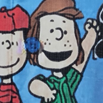 Reno Aces Baseball Club - Peppermint Patty and Linus - Professional Sports Teams Near Me - Reno, Nevada