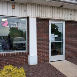 The Friendly Feline Cat Cafe