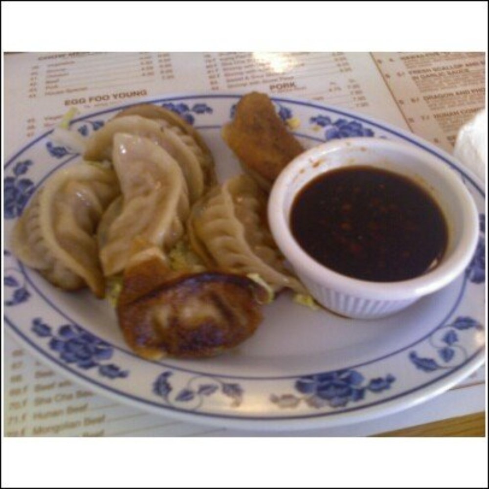 Zhu Garden - Pan Fried Dumplings (aka Pot Stickers) - Thai Near Me - Knoxville, Tennessee